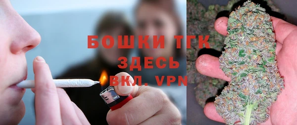 крисы Аркадак
