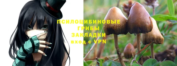 кокаин Арсеньев
