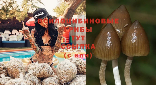 spice Армянск