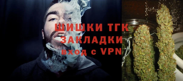 крисы Аркадак